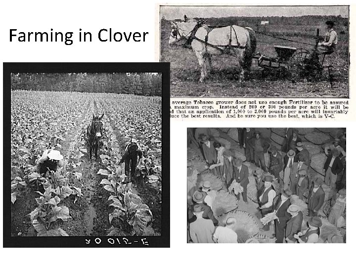 Farming in Clover Farming in Clover