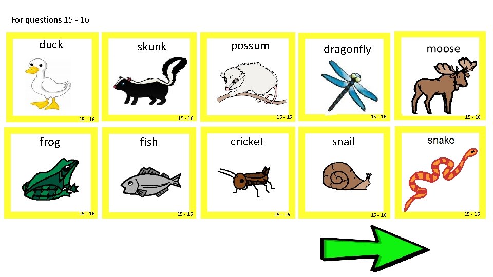 For questions 15 - 16 duck possum skunk frog cricket fish 15 - 16