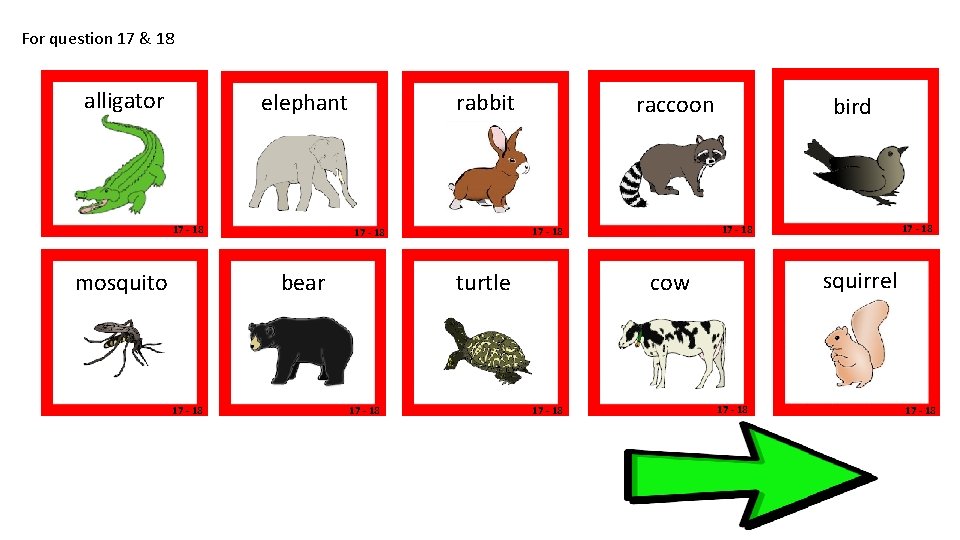 For question 17 & 18 alligator elephant 17 - 18 rabbit 17 - 18