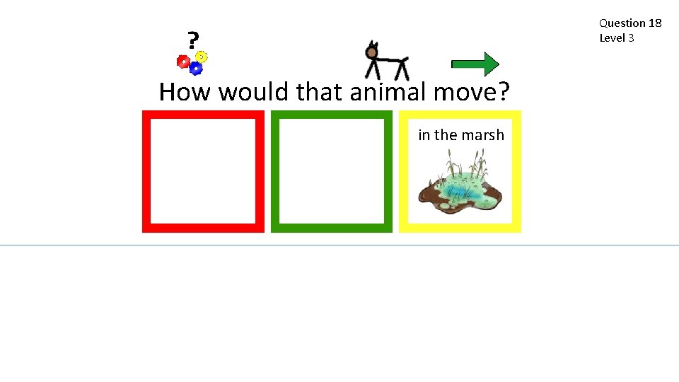 Question 18 Level 3 How would that animal move? in the marsh 