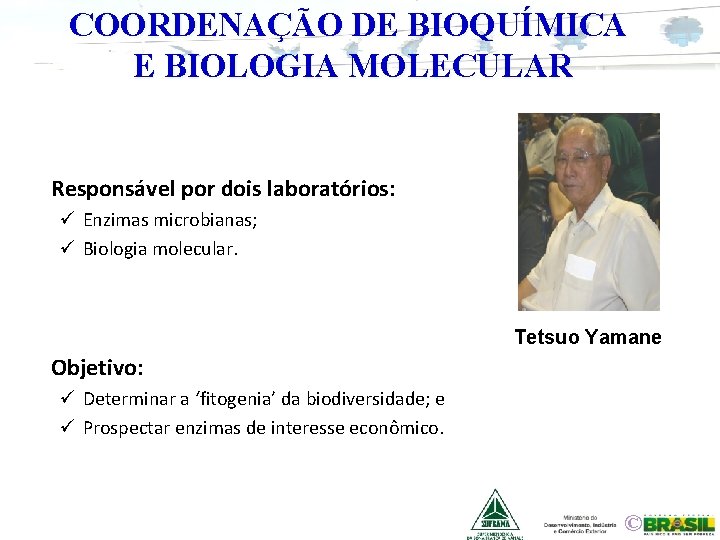 COORDENAÇÃO DE BIOQUÍMICA E BIOLOGIA MOLECULAR Responsável por dois laboratórios: ü Enzimas microbianas; ü