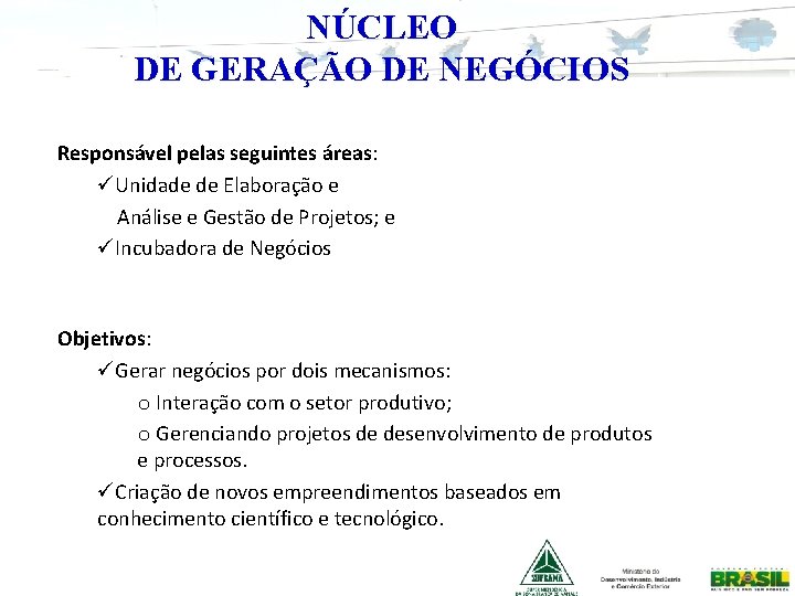 NÚCLEO DE GERAÇÃO DE NEGÓCIOS Responsável pelas seguintes áreas: üUnidade de Elaboração e Análise