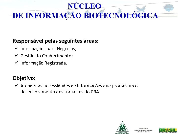 NÚCLEO DE INFORMAÇÃO BIOTECNOLÓGICA Responsável pelas seguintes áreas: ü Informações para Negócios; ü Gestão