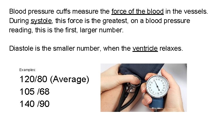 Blood pressure cuffs measure the force of the blood in the vessels. During systole,