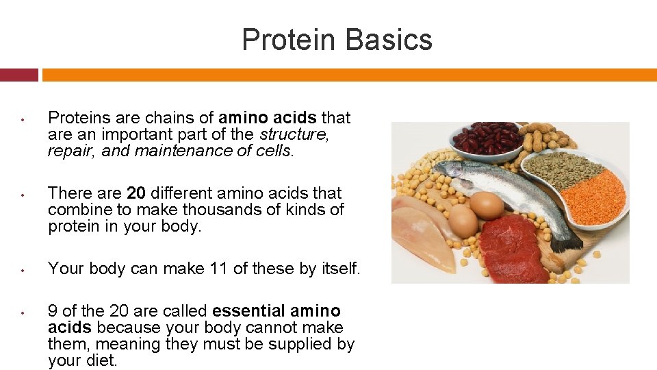 Protein Basics • • Proteins are chains of amino acids that are an important