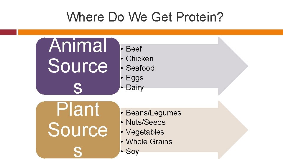 Where Do We Get Protein? Animal Source s Plant Source s • • •