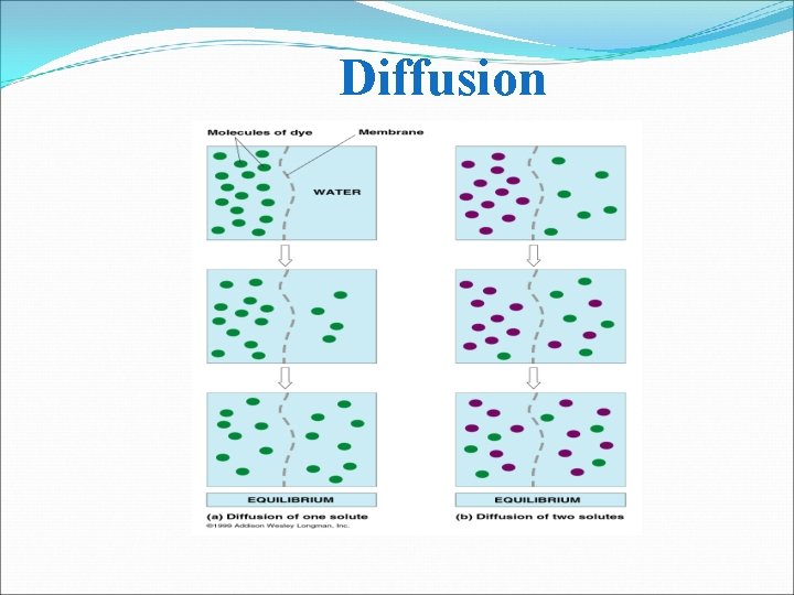 Diffusion 