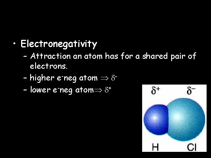  • Electronegativity – Attraction an atom has for a shared pair of electrons.