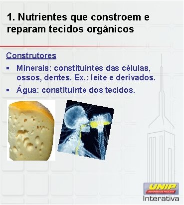 1. Nutrientes que constroem e reparam tecidos orgânicos Construtores § Minerais: constituintes das células,