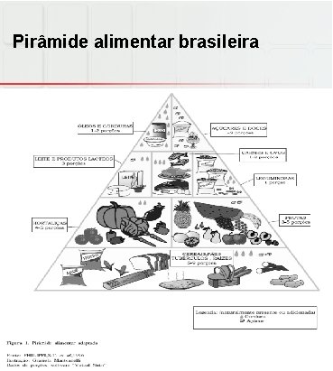 Pirâmide alimentar brasileira 