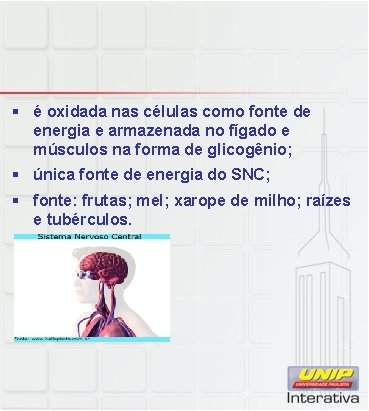 § é oxidada nas células como fonte de energia e armazenada no fígado e