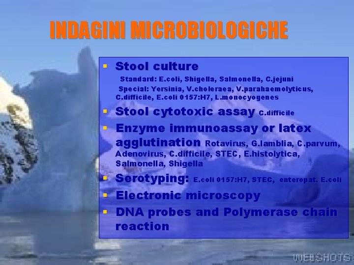 INDAGINI MICROBIOLOGICHE § Stool culture Standard: E. coli, Shigella, Salmonella, C. jejuni Special: Yersinia,
