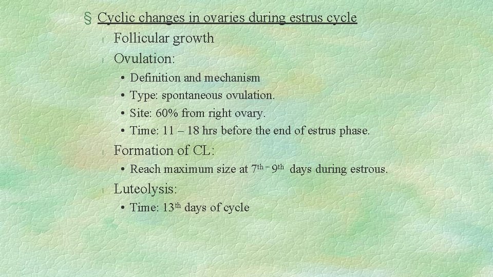 § Cyclic changes in ovaries during estrus cycle l Follicular growth l Ovulation: •