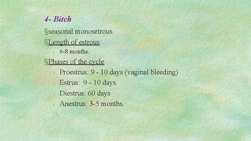 4 - Bitch §seasonal monosetrous. §Length of estrous: l 6 -8 months. §Phases of