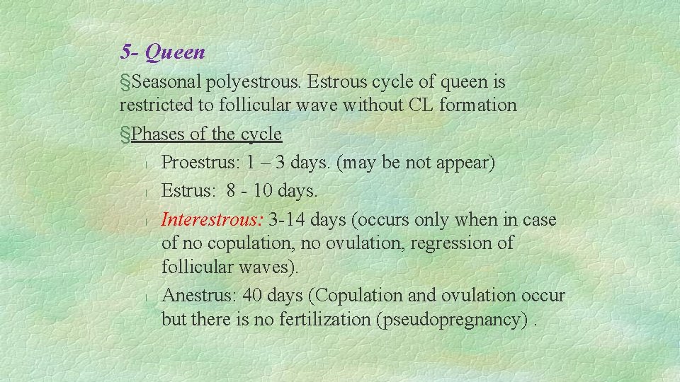 5 - Queen §Seasonal polyestrous. Estrous cycle of queen is restricted to follicular wave