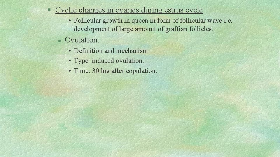 § Cyclic changes in ovaries during estrus cycle • Follicular growth in queen in