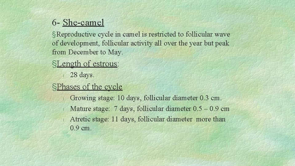 6 - She-camel §Reproductive cycle in camel is restricted to follicular wave of development,