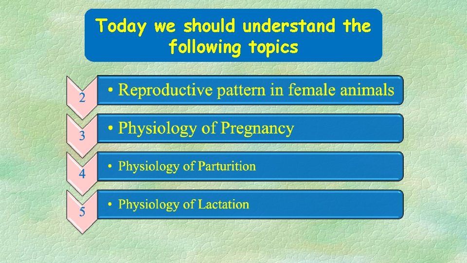 Today we should understand the following topics 