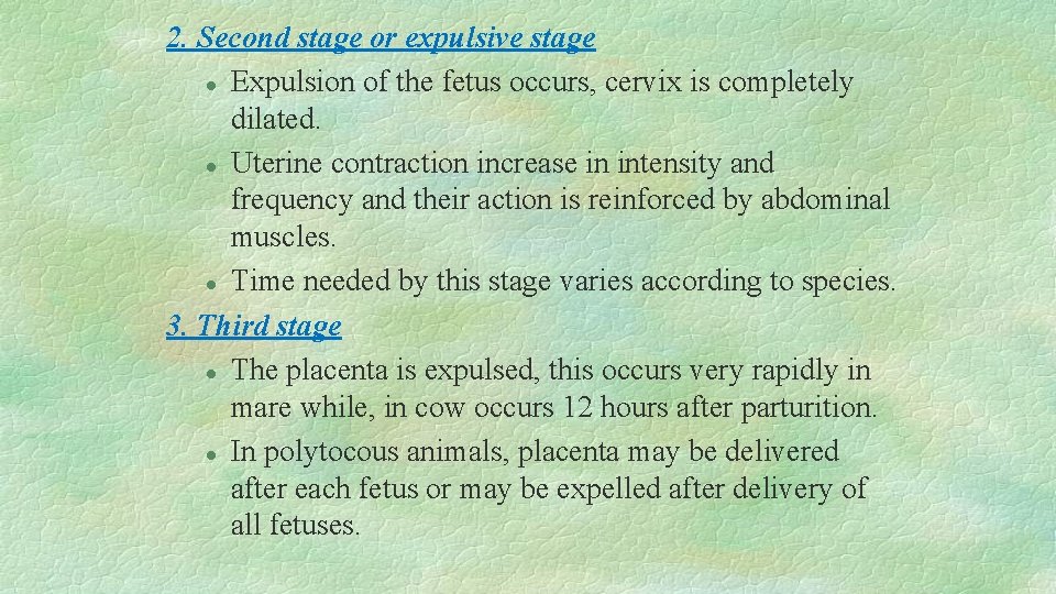2. Second stage or expulsive stage l Expulsion of the fetus occurs, cervix is