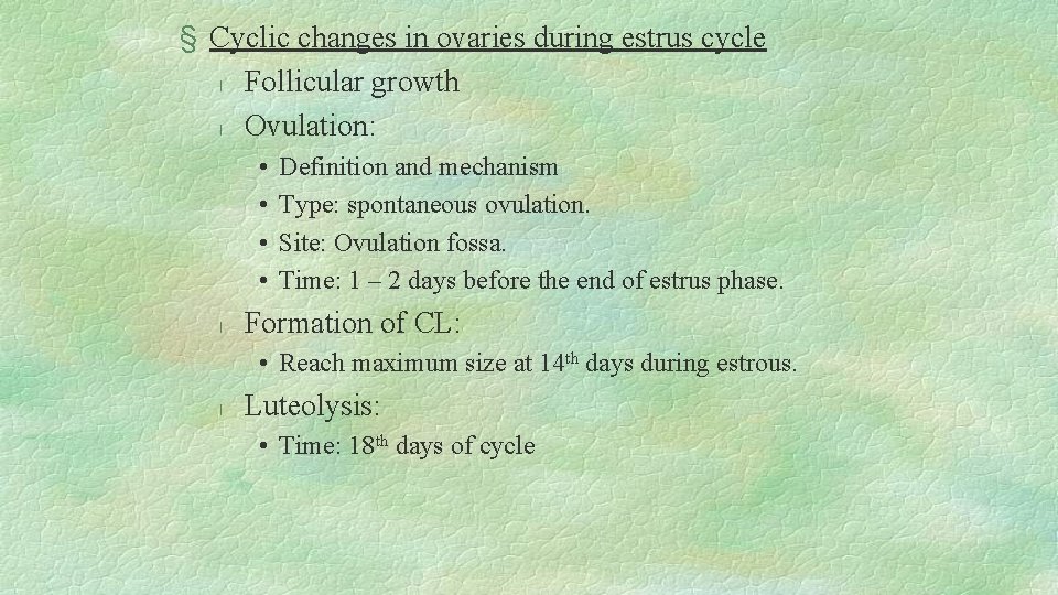 § Cyclic changes in ovaries during estrus cycle l Follicular growth l Ovulation: •