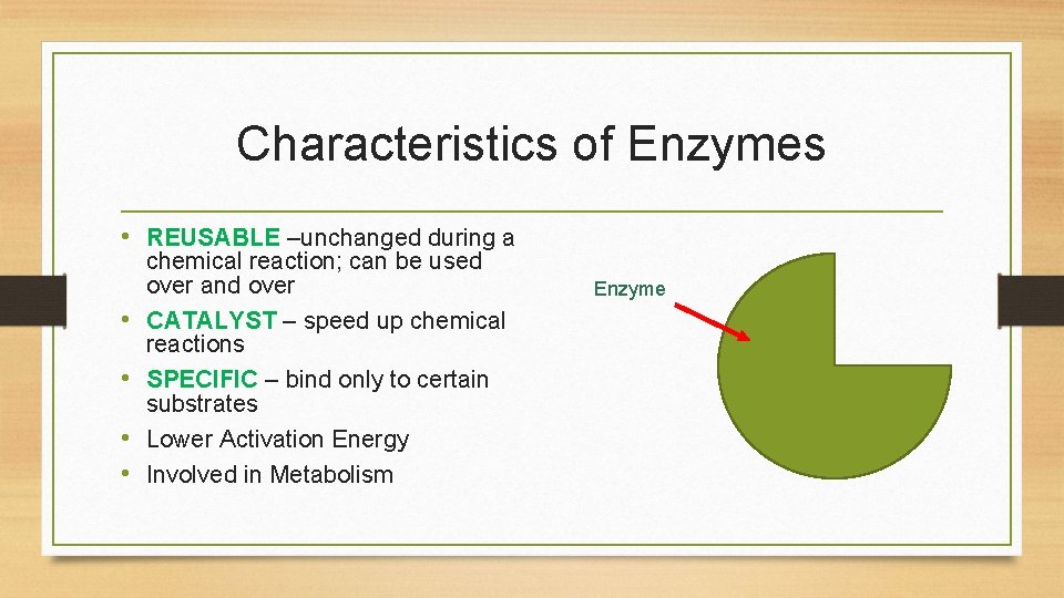 Enzymes Foldable Notes Foldable Listen for directions on