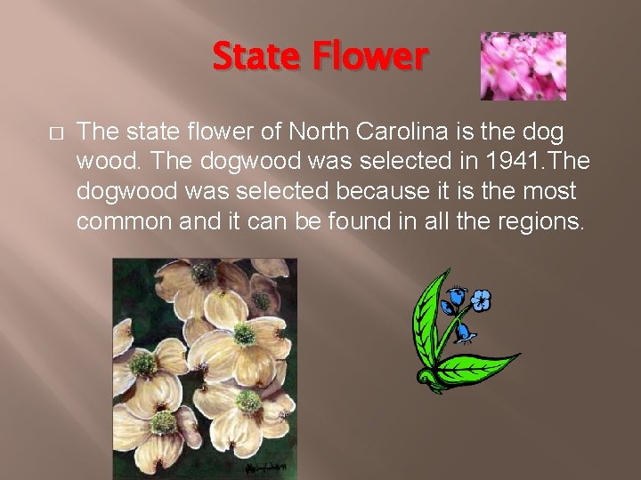 State Flower � The state flower of North Carolina is the dog wood. The