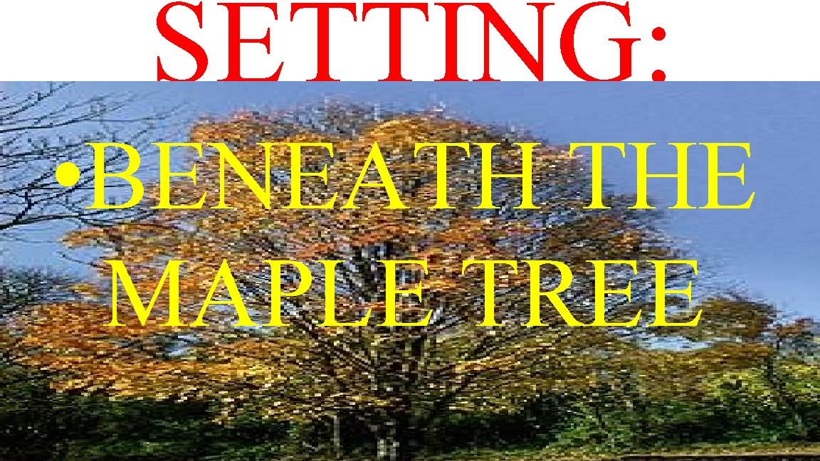 SETTING: • BENEATH THE MAPLE TREE 