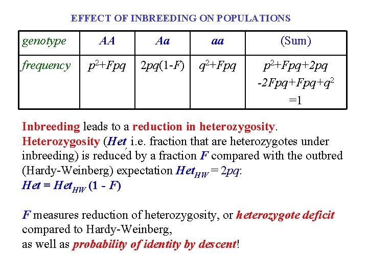 EFFECT OF INBREEDING ON POPULATIONS genotype AA Aa aa (Sum) frequency p 2+Fpq 2