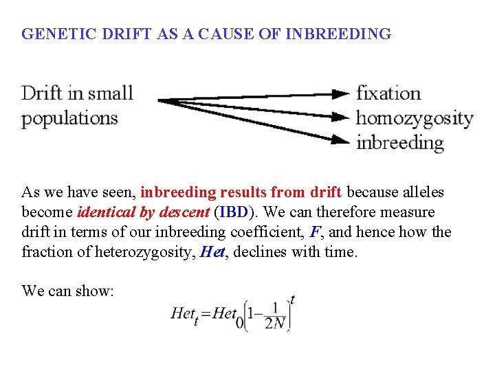 GENETIC DRIFT AS A CAUSE OF INBREEDING As we have seen, inbreeding results from