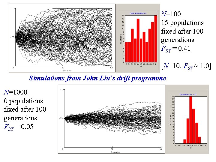 N=100 15 populations fixed after 100 generations FST = 0. 41 [N=10, FST ≈