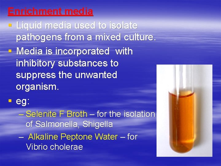 Enrichment media § Liquid media used to isolate pathogens from a mixed culture. §