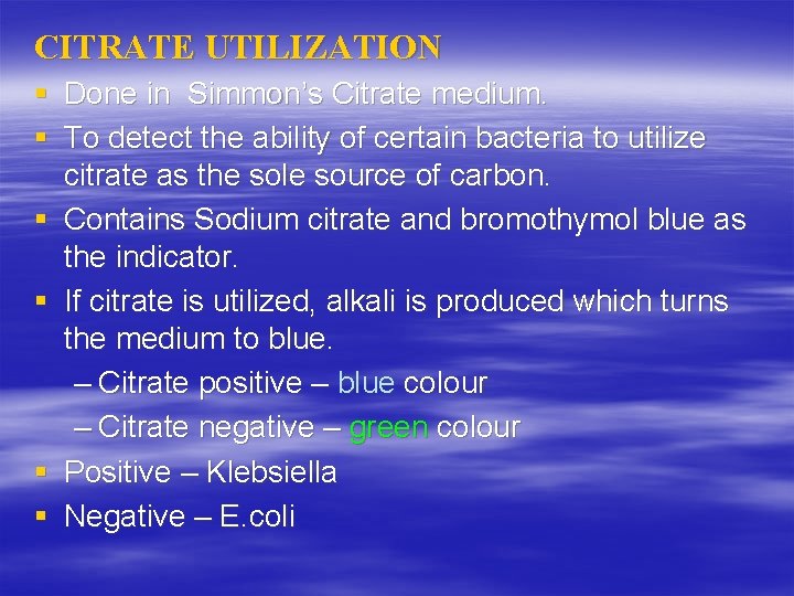 CITRATE UTILIZATION § Done in Simmon’s Citrate medium. § To detect the ability of