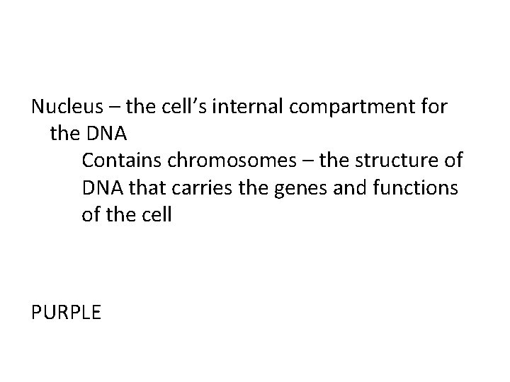 Nucleus – the cell’s internal compartment for the DNA Contains chromosomes – the structure