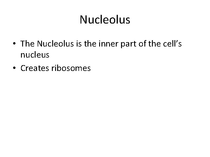 Nucleolus • The Nucleolus is the inner part of the cell’s nucleus • Creates