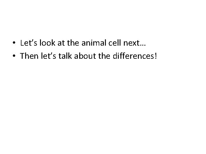  • Let’s look at the animal cell next… • Then let’s talk about