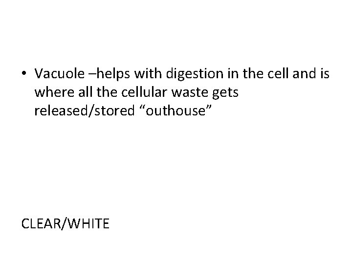  • Vacuole –helps with digestion in the cell and is where all the