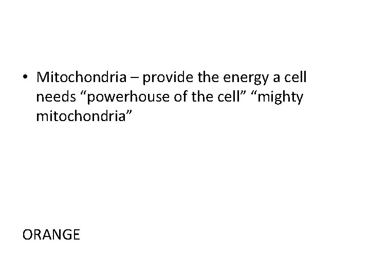  • Mitochondria – provide the energy a cell needs “powerhouse of the cell”