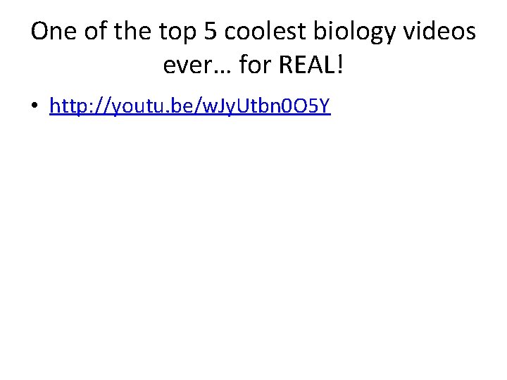 One of the top 5 coolest biology videos ever… for REAL! • http: //youtu.