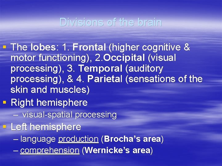 Divisions of the brain § The lobes: 1. Frontal (higher cognitive & motor functioning),