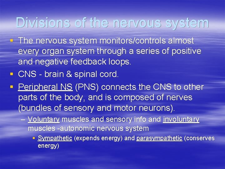 Divisions of the nervous system § The nervous system monitors/controls almost every organ system