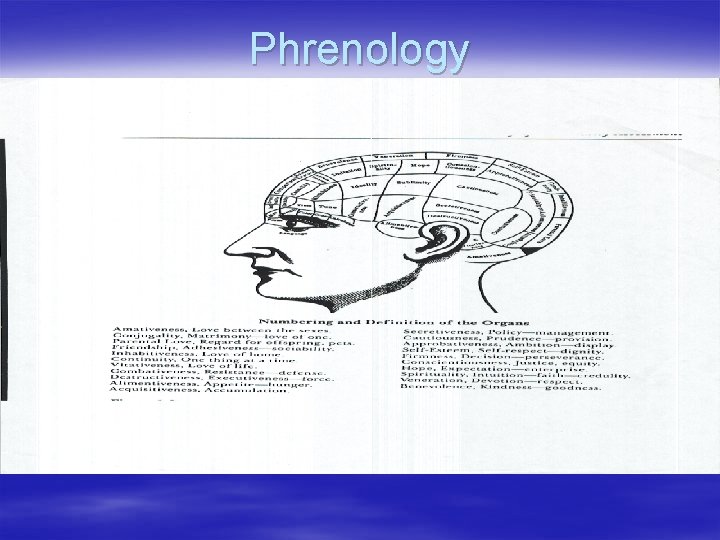 Phrenology 