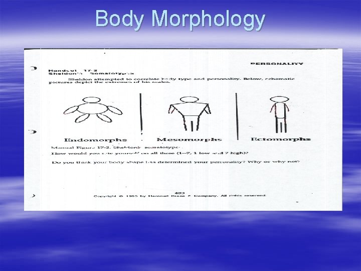 Body Morphology 