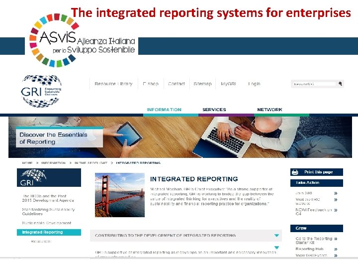 The integrated reporting systems for enterprises 