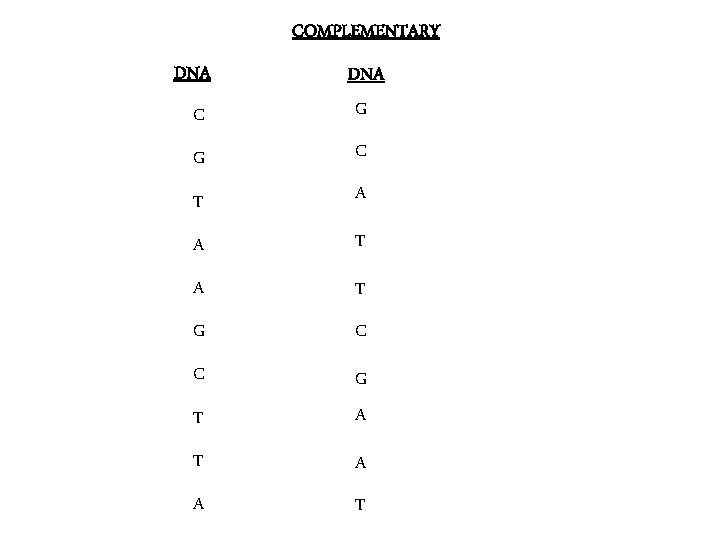 COMPLEMENTARY DNA C DNA G G C T A A T G C C