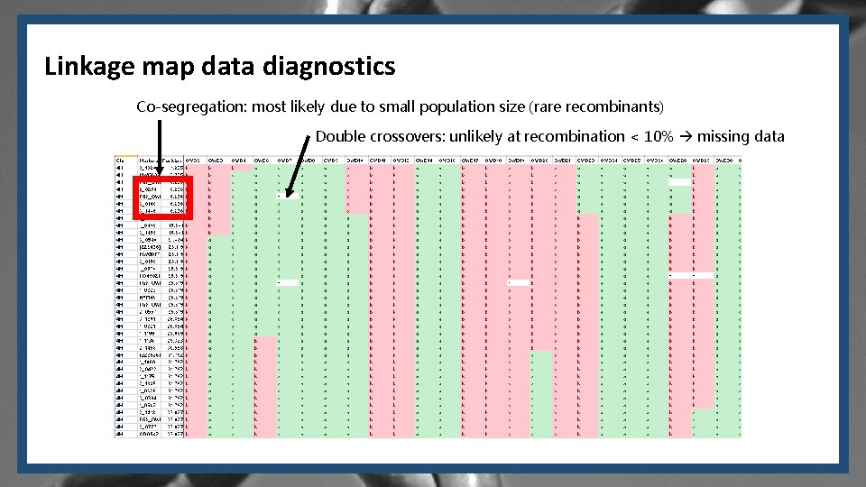 Linkage map data diagnostics Co-segregation: most likely due to small population size (rare recombinants)