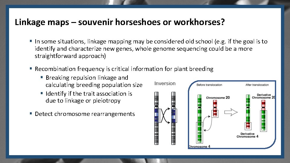Linkage maps – souvenir horseshoes or workhorses? § In some situations, linkage mapping may
