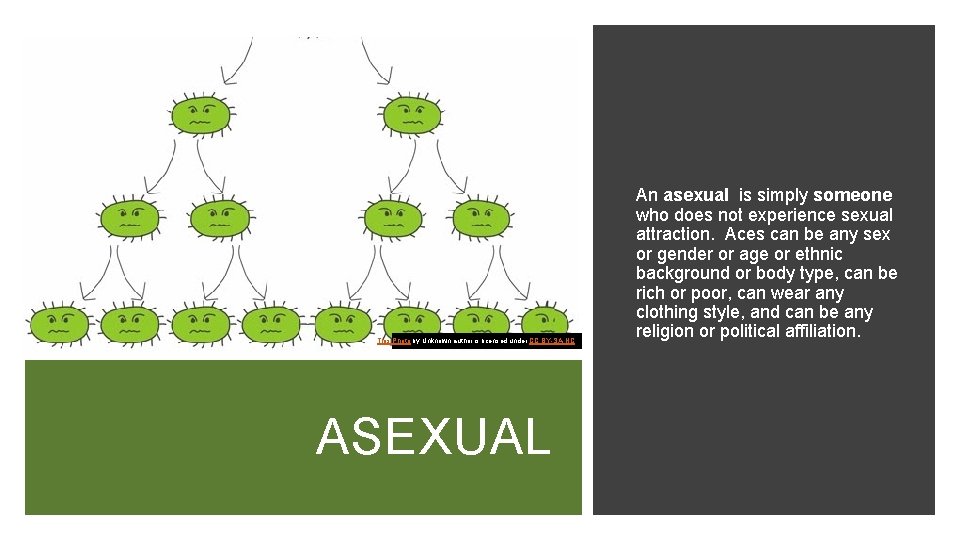 This Photo by Unknown author is licensed under CC BY-SA-NC. ASEXUAL An asexual is