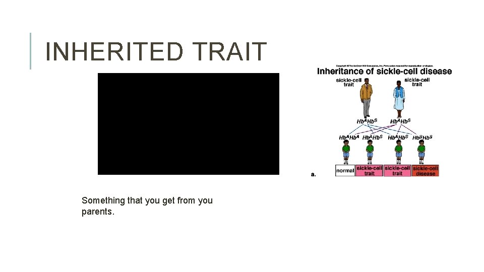 INHERITED TRAIT Something that you get from you parents. 