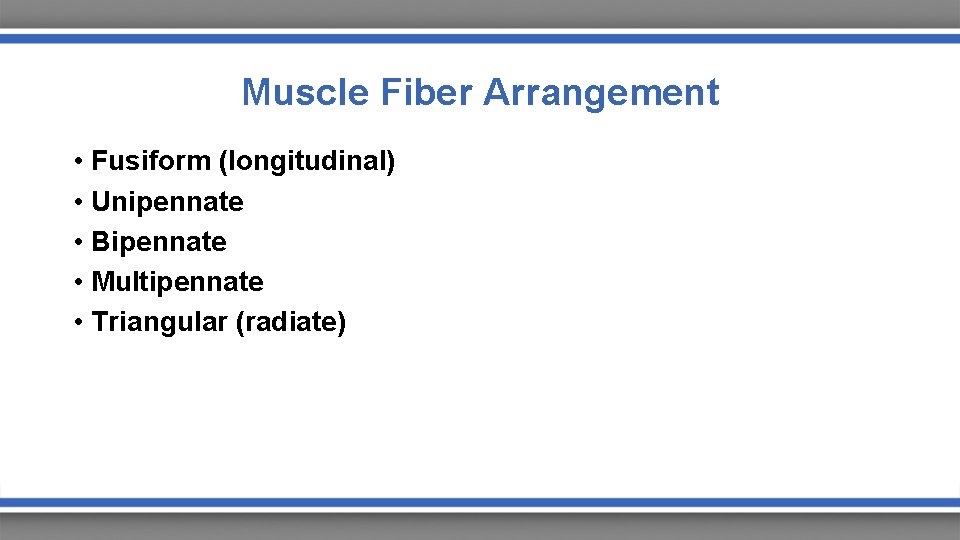 Muscle Fiber Arrangement • Fusiform (longitudinal) • Unipennate • Bipennate • Multipennate • Triangular