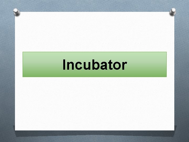 Incubator 